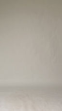 Wide Leg Ripped Jean - Short Length - 230226D